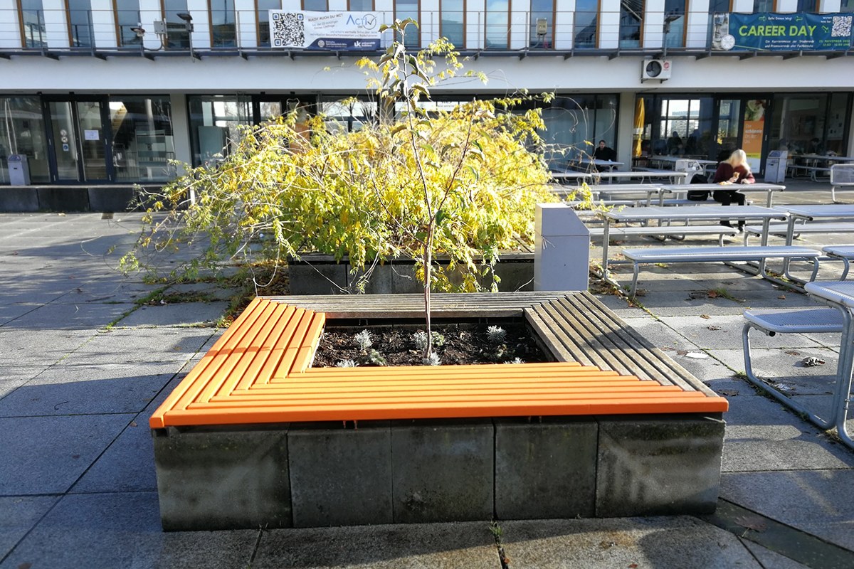 Eine orangegestrichenen Bank auf dem Campus der Universität in Koblenz soll auf nachhaltige Weise auf Gewalt gegen Frauen aufmerksam machen. Foto: Alexander Tibo-Gnosa