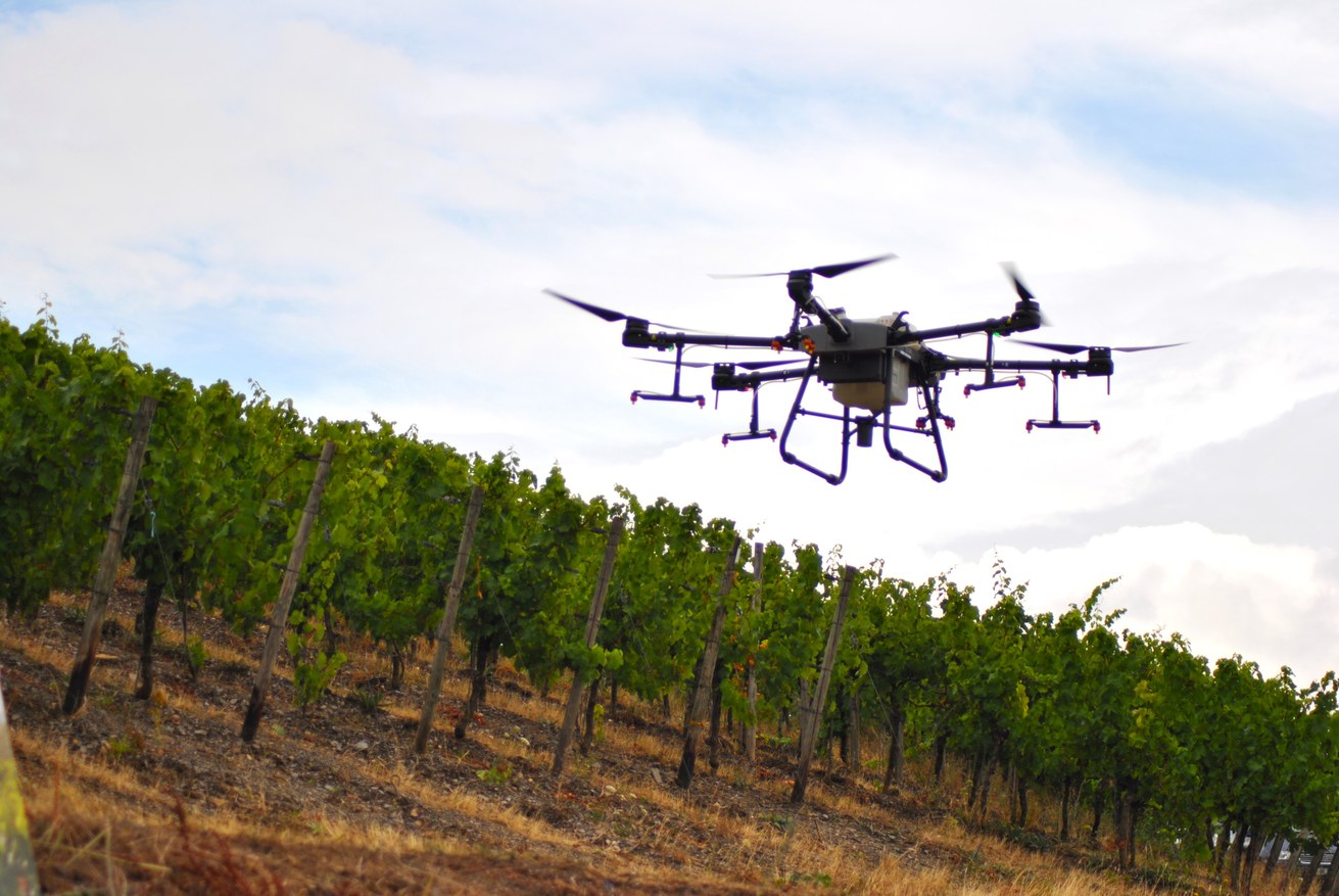 Drohne über dem Weinberg: Winzerinnen und Winzer sollen künftig durch smarte Technologien unterstützt werden. Bild: FG E-Government