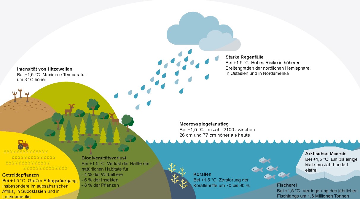 Schaubild Auswirkungen des Klimawandels bei +1,5°C