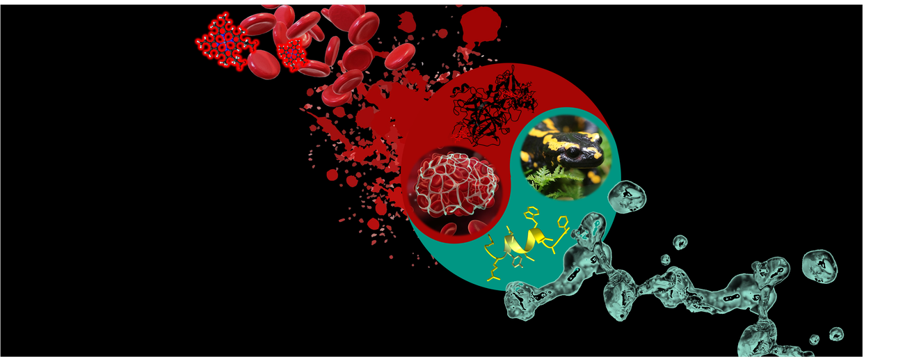 Arbeitsgruppe \n Bioorganische Chemie