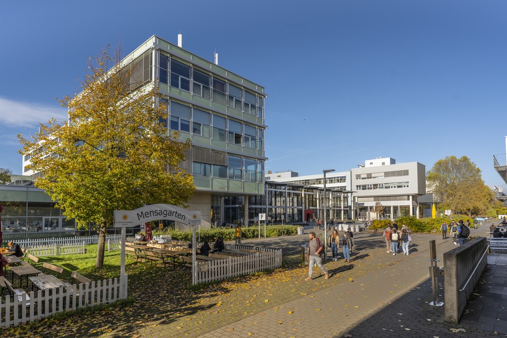 Studienverlaufspläne | Universität Koblenz