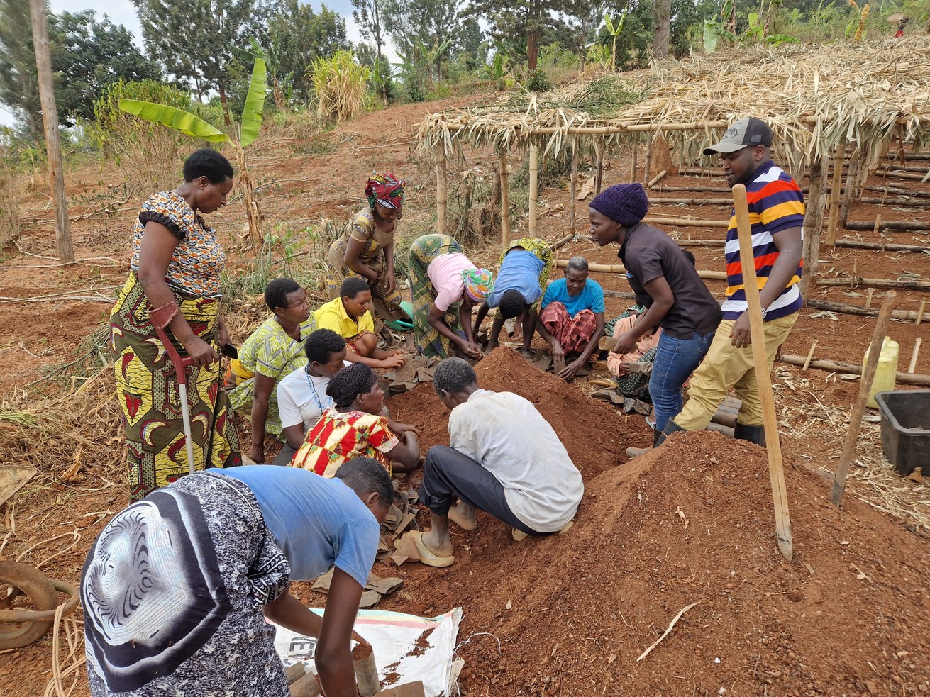 Mitglieder der Kooperative Kotwihegi bereiten Pflanzbeutel für Baumsetzlinge in ihrer Baumschule. Projektkoordinatorin Brigitte Uwajeneza (Bildmitte mit Wollmütze) hat 2024 ihr Masterstudium in Agroforstwissenschaften an der University of Rwanda abgeschlossen und verbrachte ein Auslandssemester an der Universität Koblenz im Studiengang BioGeowissenschaften.