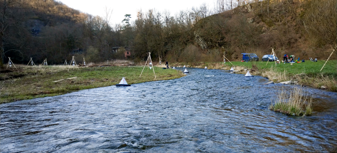 Aus dem Fluss auf den Tisch